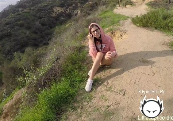 Public Sex - In Front Of The Hollywood Sign (2020/LittleCapriceDreams.com/FullHD)