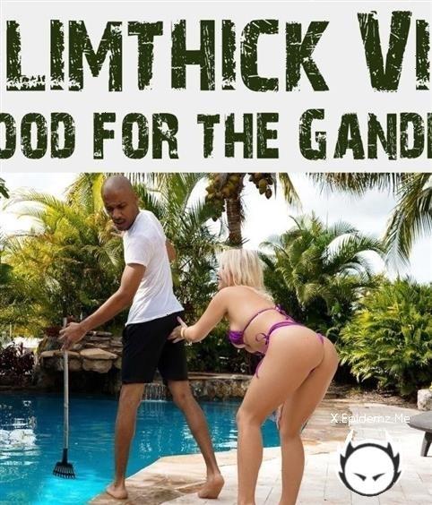 Slimthick Vic - Good For The Gander (2022/RKPrime.com/RealityKings.com/HD)