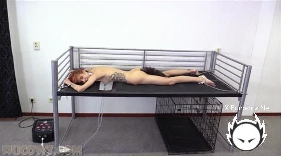 Dina Ket - Tiny Hucow Pet (2022/HuCows.com/SD)