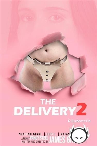 Slaves Nikki, Cobie - The Delivery 2 (2021/Fancysteel.com/FullHD)