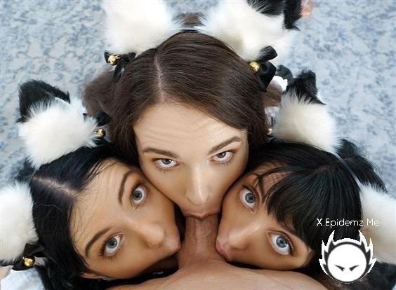 Brooke Johnson, Kitty Cam, Lily Thot - Im Ready To Join You Guys (2022/BFFS.com/TeamSkeet.com/SD)