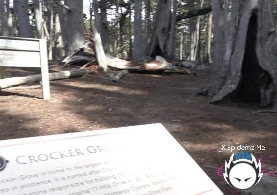 Summer Vixen - Norcal 6 (2022/ATKGirlfriends.com/FullHD)