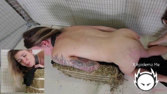 Angel Amour - Piggie In A Dress (2023/Assylum.com/SD)