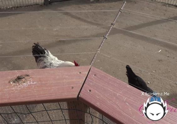 Britt Blair - Farm Date 1 (2023/ATKGirlfriends.com/4K)