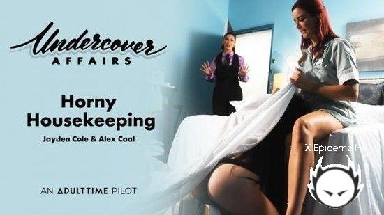 Jayden Cole, Alex Coal - Horny Housekeeping (2023/AdultTime.com/SD)