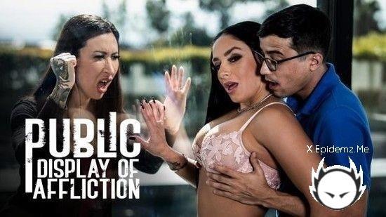 Sheena Ryder - Public Display Of Affliction (2023/PureTaboo.com/HD)