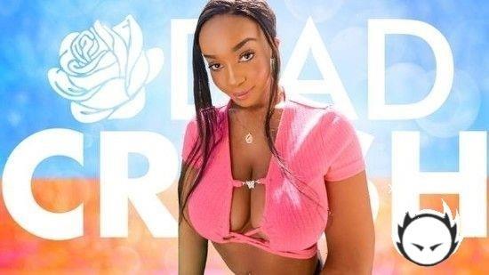 Lily Starfire - The Support You Need (2023/DadCrush.com/SD)