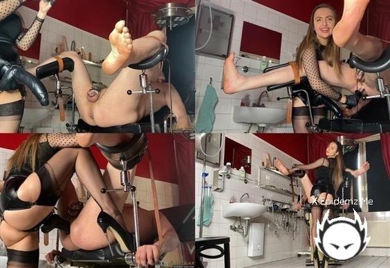 Goddess Lena - Slave Education With The Strap-On (2023/Goddess-Lena.com/FullHD)