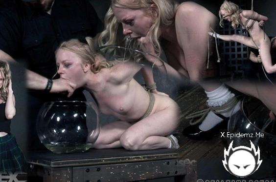 Alice - Bound To Test 3 (2019/RealTimeBondage.com/HD)