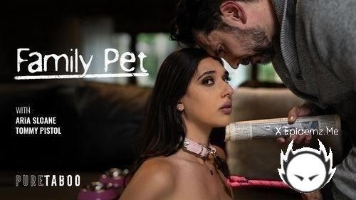 Aria Sloane - Family Pet (2025/PureTaboo.com/SD)