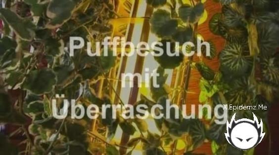 Puffbesuch Mit berraschung (2011/SD)